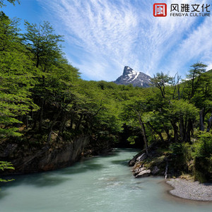 狠狠地挺进千仞雪的小穴
