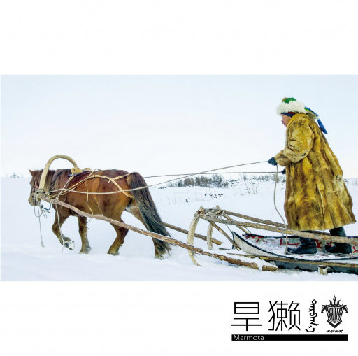 狠狠地挺进千仞雪的小穴
